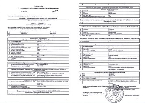 Получение Выписки Из ЕГРЮЛ Или ЕГРИП 2022 Самостоятельно.